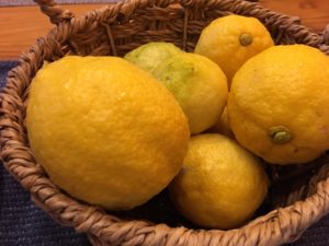 高知の良心市で売られている1000円のレモンの画像|高知市注文住宅SAI